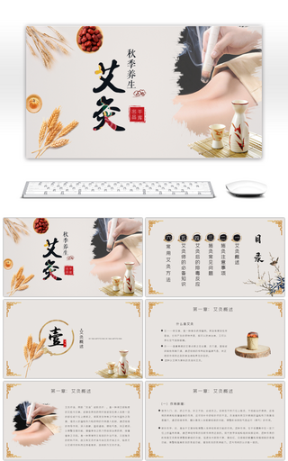 中医艾灸中国传统文化养生动态PPT模板