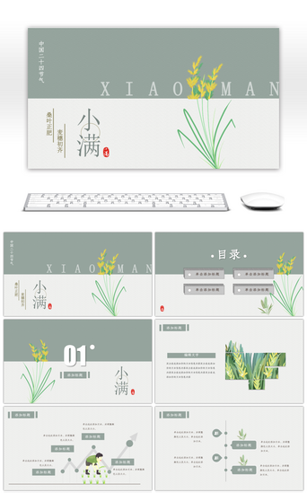 复古淡雅二十四节气小满PPT模板