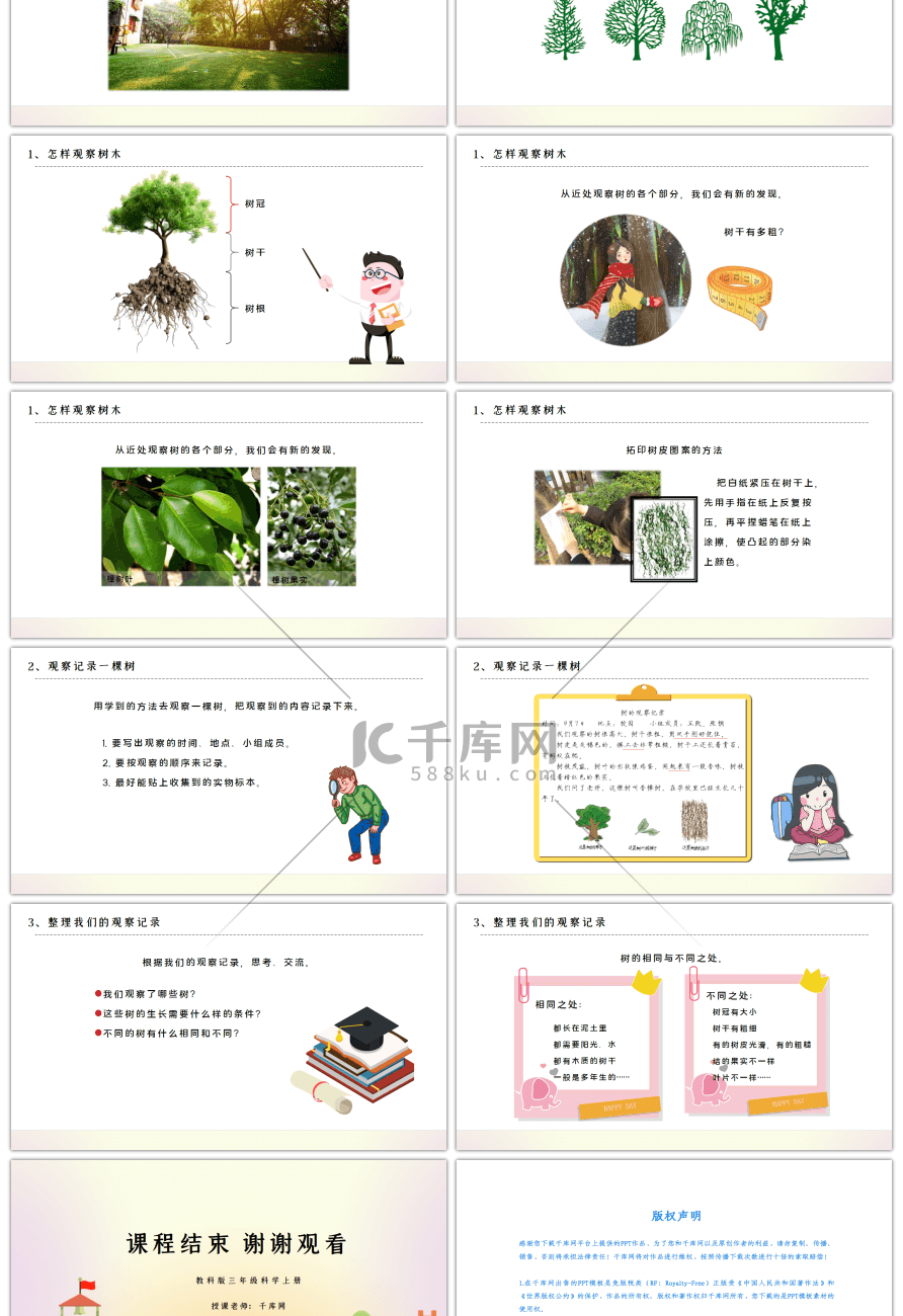 教科版三年级科学上册校园的树木PPT课件