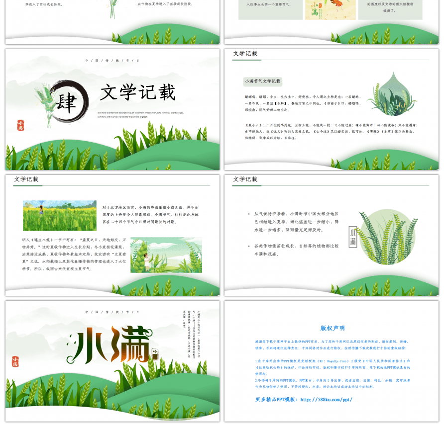绿色卡通风中国二十四节气之小满节日介绍PPT模板