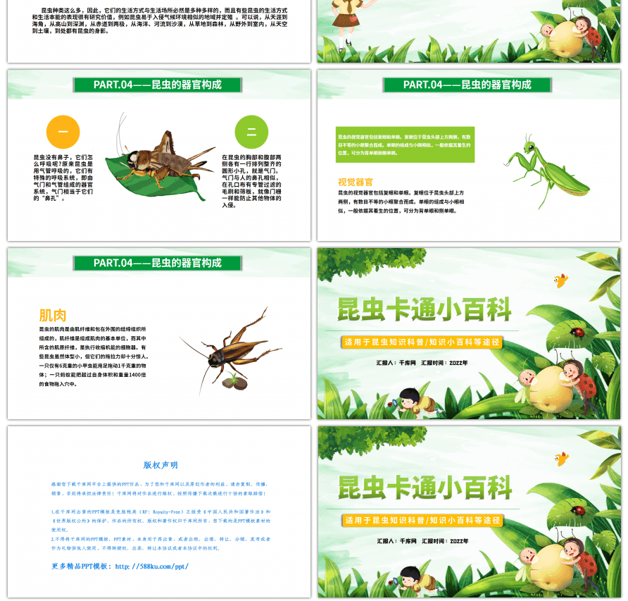 绿色昆虫卡通小百科学生教育PPT模板