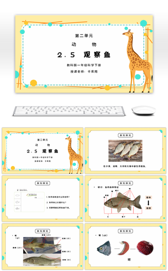 动物科学PPT模板_教科版一年级科学下册第二单元《动物-观察鱼》PPT课件