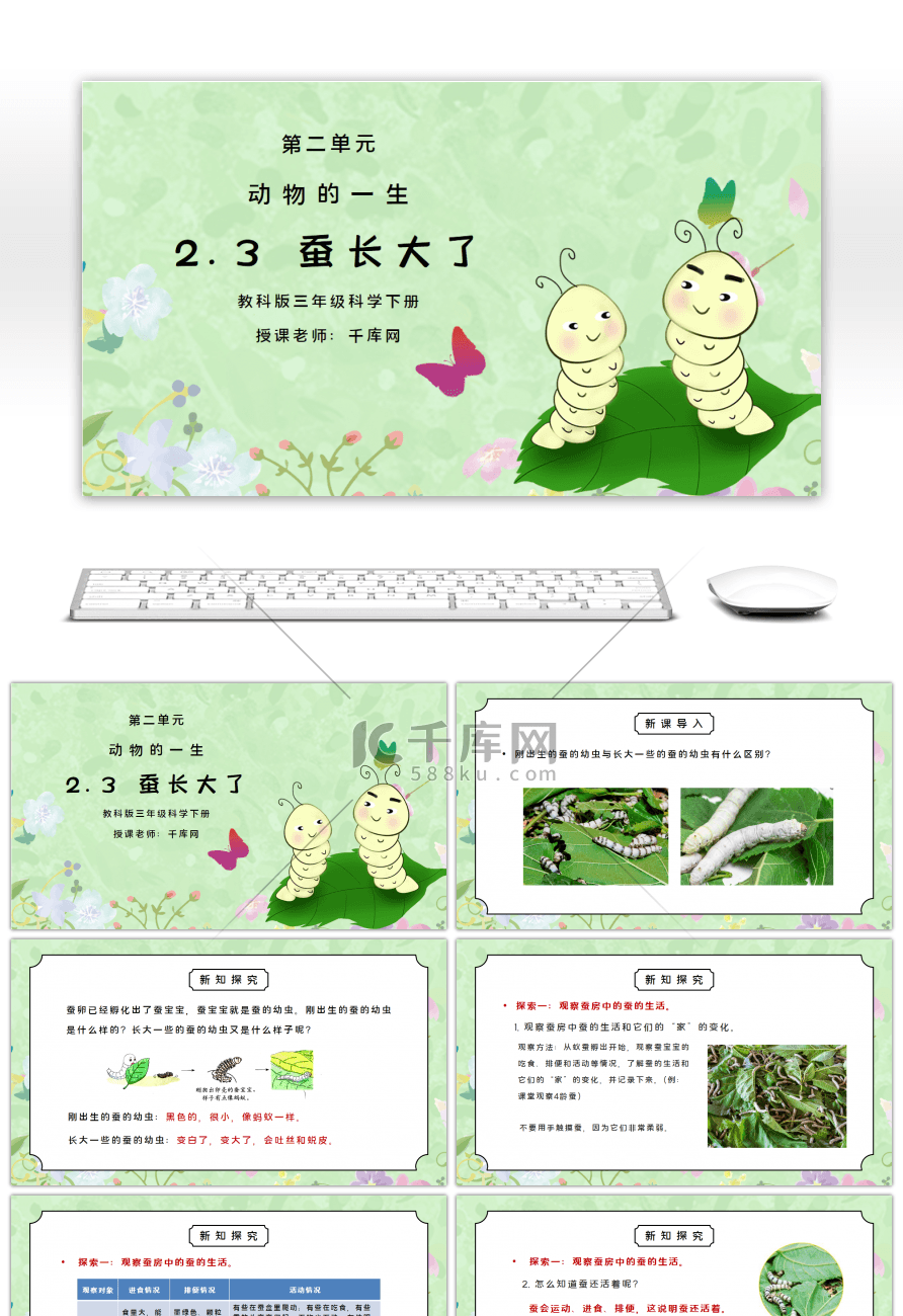 教科版三年级科学下册第二单元《动物的一生-蚕长大了》PPT课件