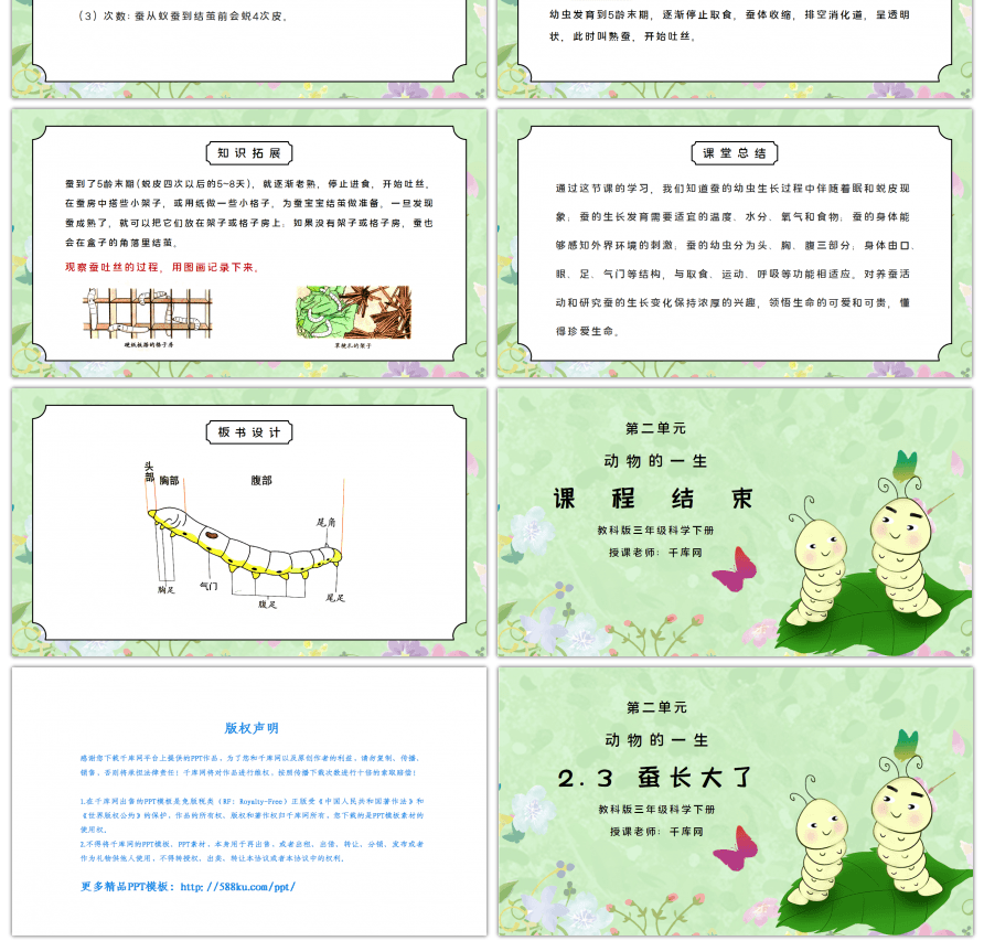 教科版三年级科学下册第二单元《动物的一生-蚕长大了》PPT课件