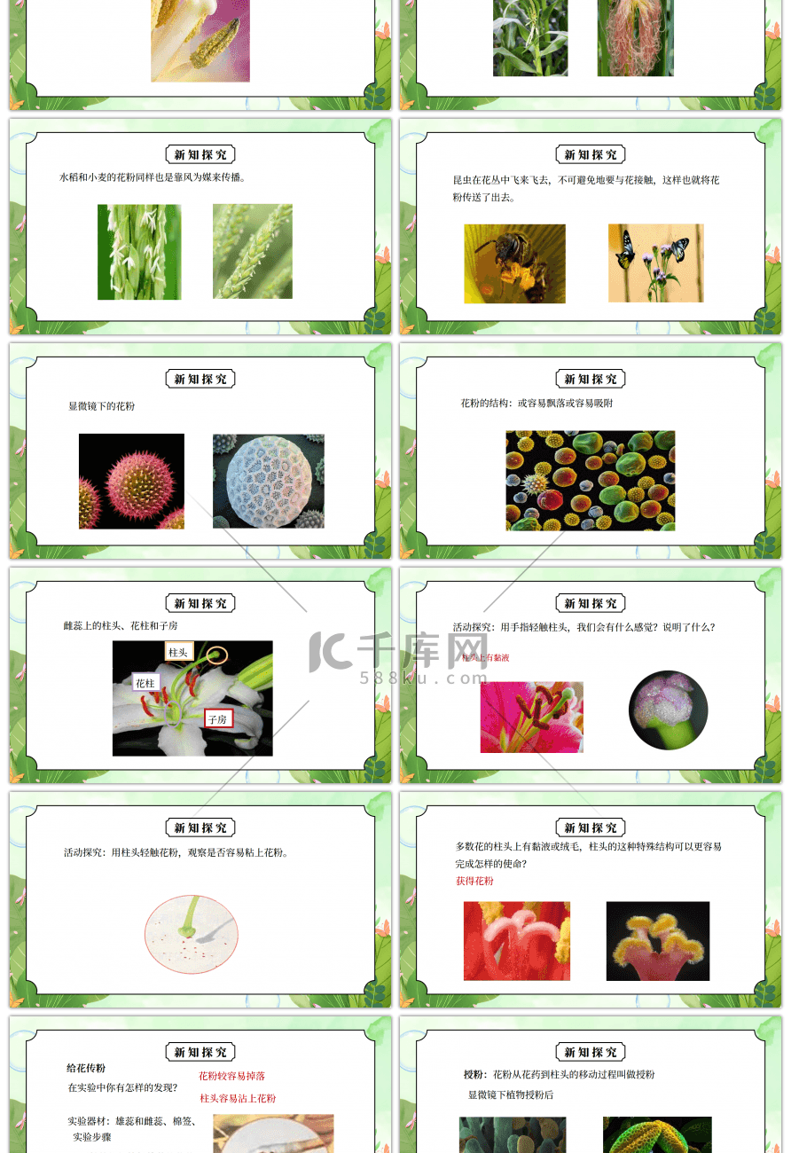 教科版四年级科学下册第二单元《新的生命-花果实和种子》PPT课件