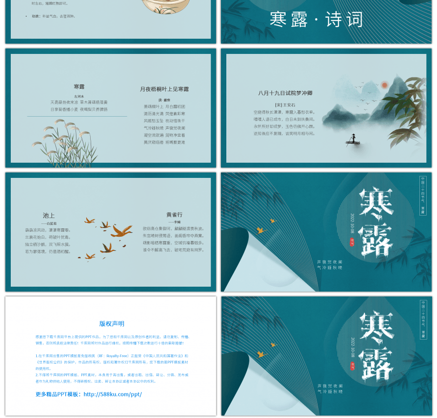 传统二十四节气寒露节气介绍竹子竹叶水滴蓝
