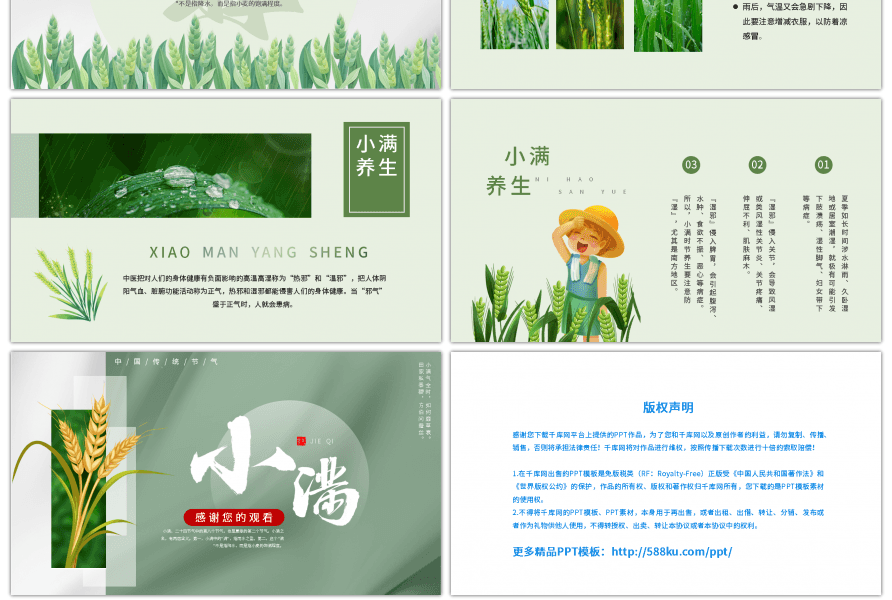 清新小满节气介绍麦子绿色中国风PPT模板