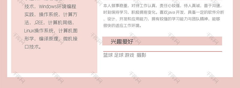 粉色创意软件开发求职简历word模板