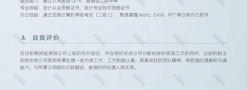 个性创意财务类求职简历word模板