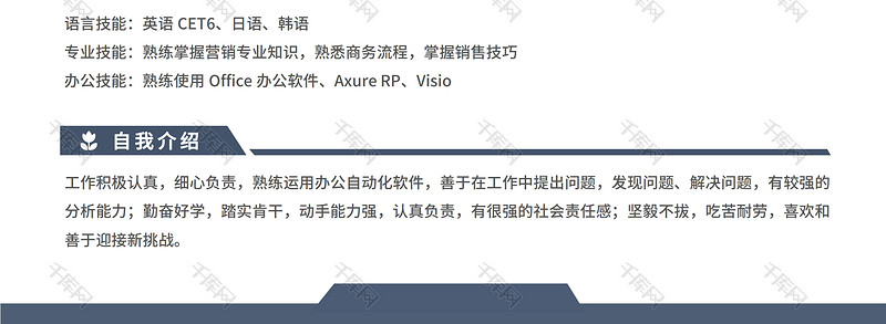 蓝色经典商务风格市场销售求职简历word