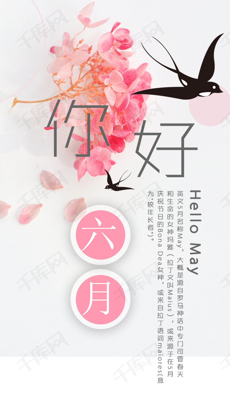 六月你好小清新唯美植物微信朋友圈问候海报