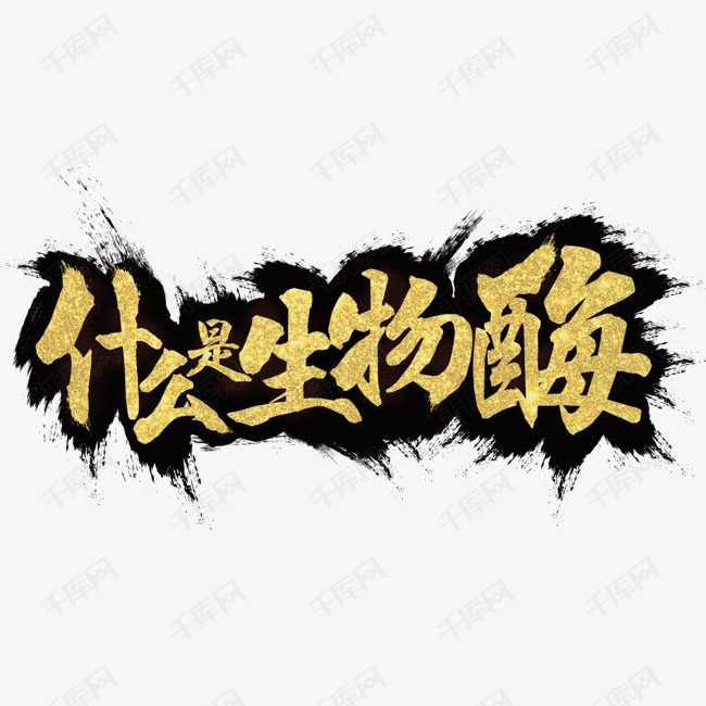 什么是生物酶艺术字设计图片-千库网