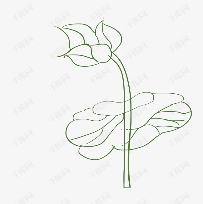 绿色线条荷花