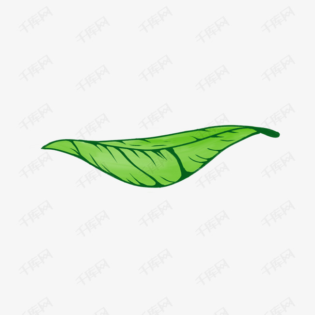 一片茶叶矢量插画