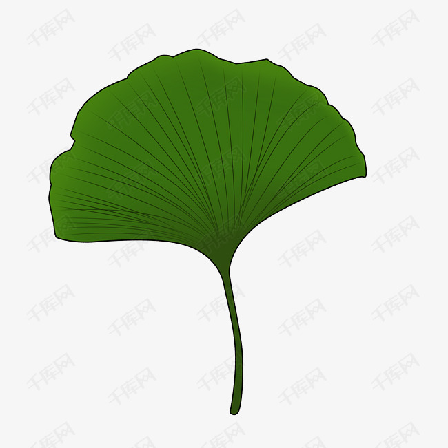 纹理矢量绿色银杏叶