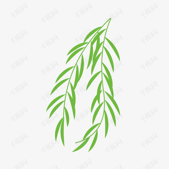 柳叶柳枝绘画图案
