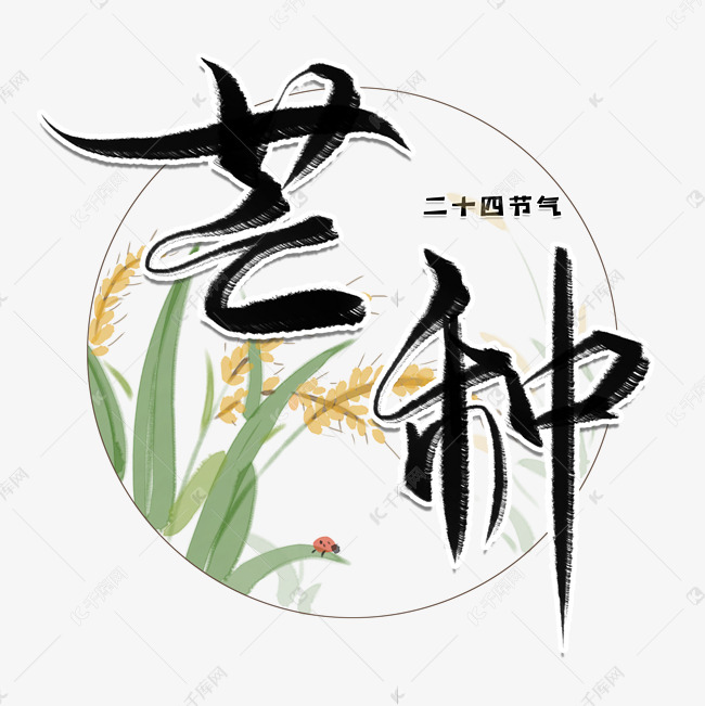 芒种毛笔艺术字