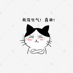 生气猫卡通图片_卡通猫咪生气傲娇表情包