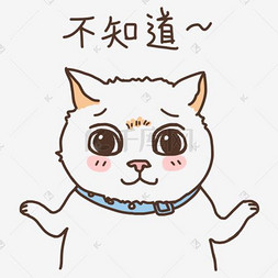 表情不知道小猫咪插画