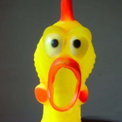 【愤怒的尖叫鸡叫声音效】音频素材