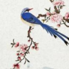 【焕然一新古风短视频宣传】配乐