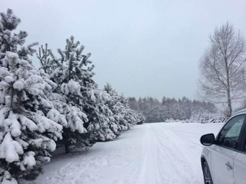 大雪天寒风盛音效