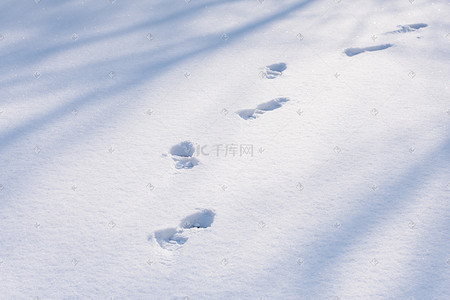 雪后雪地上的一行脚印