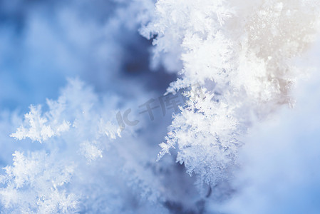 冬季安全注意事项摄影照片_雪花形状冰晶白色积雪摄影图