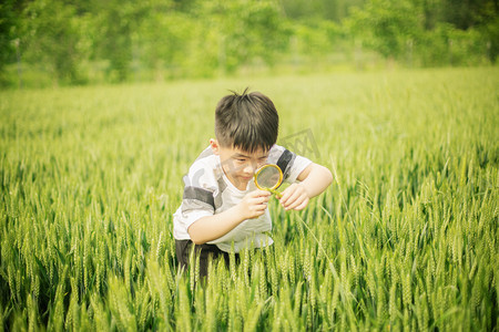 儿童节手抄摄影照片_麦田里用放大镜观察小麦的儿童