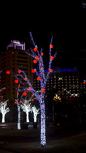 氛围光摄影照片_城市夜晚风景之LED灯光树木摄影图