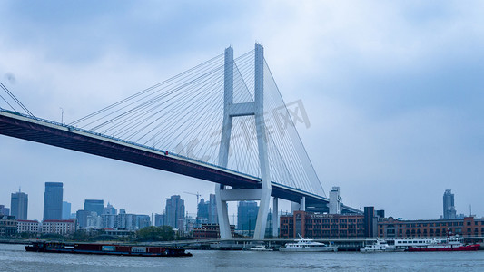 中国水墨中国龙摄影照片_上海地标建筑南浦大桥摄影图