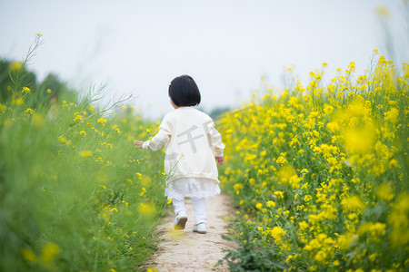 卡通清明节摄影照片_花海里的小姑娘