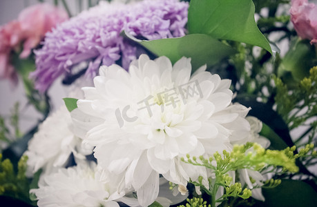 室内花瓶白菊康乃馨插花花束照片摄影图