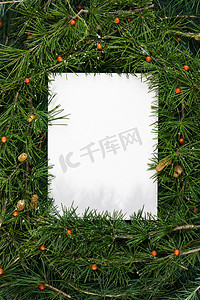 圣诞节边框摄影照片_松针圣诞背景摄影图