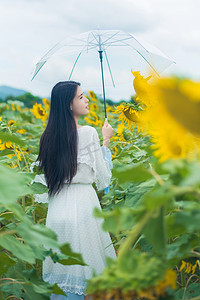 少女撑着伞在向日葵花海里漫步