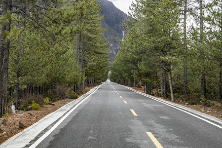 公路和路旁树木摄影图