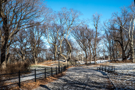 雪后纽约中央公园摄影图