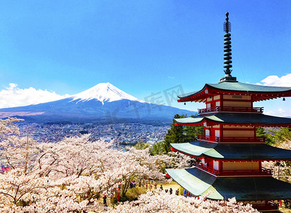 日本山顶积雪的富士山和高塔樱花摄影图