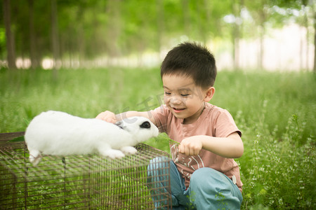 兔子摄影照片_兔子草小男孩摄影图