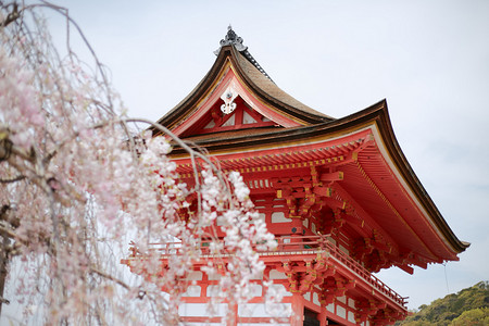 日本旅游易拉宝摄影照片_日本人文风景摄影图