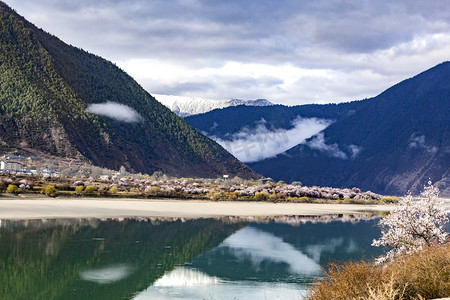 西藏林芝桃花山水摄影图