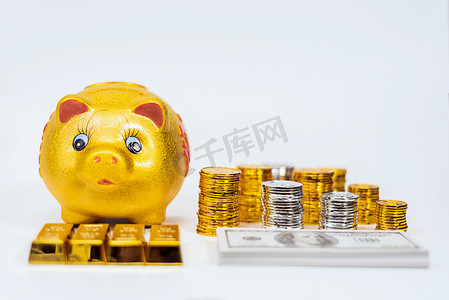 资金摄影照片_钞票金币金条金猪摄影图