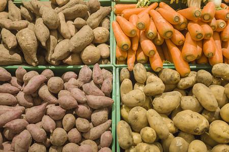 世界粮食日摄影照片_番薯土豆红萝卜摄影图