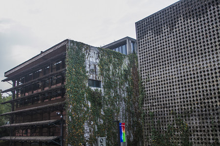 墙体爬上绿植的两栋楼摄影图