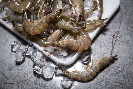 餐饮vis摄影照片_河虾摄影图