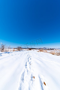 雪后蓝天雪地一串脚印摄影图