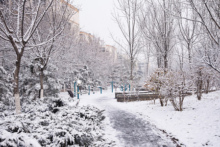 大雪寒冷冬季街道雪景摄影图