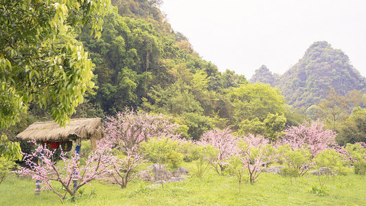 大山摄影照片_大山下桃花摄影图