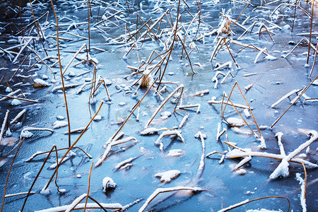 冬至植物摄影照片_结冰池水上雪摄影图