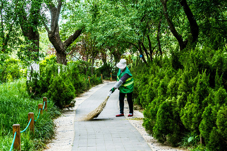 道路清洁环卫工人绿色植物摄影图